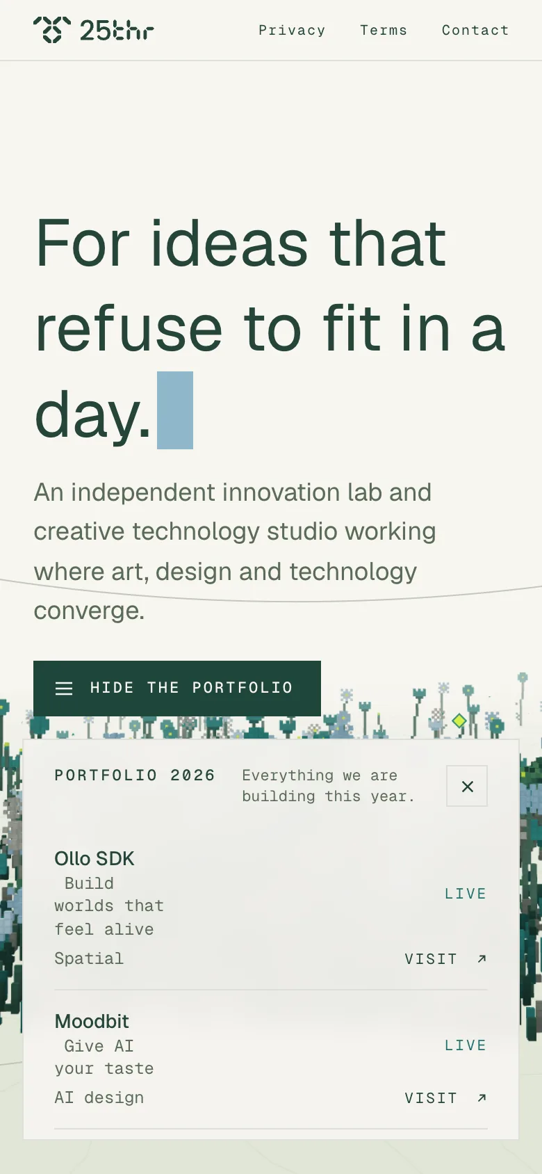 The portfolio on a phone
