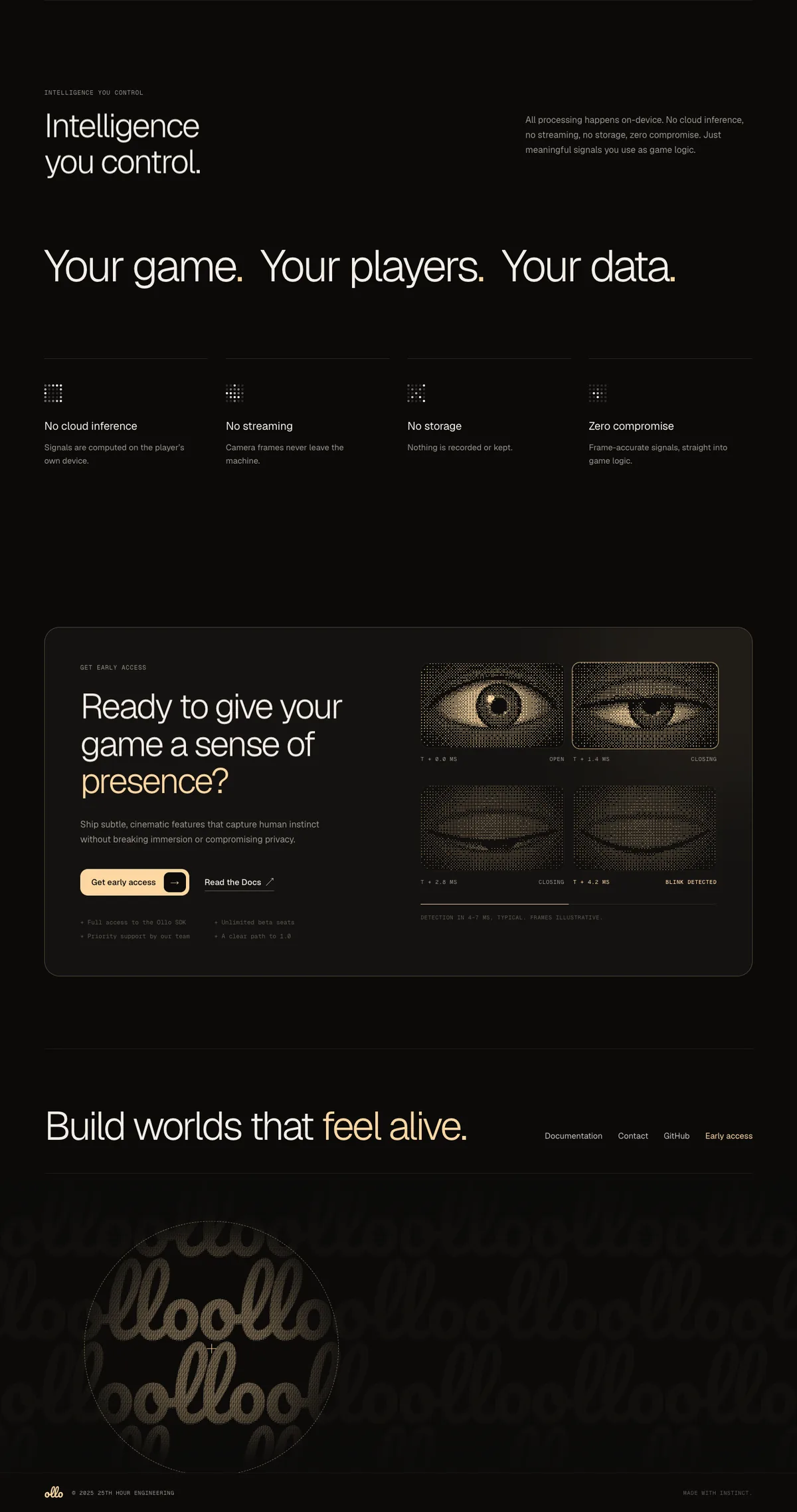 The rest of the home page: privacy, the early access call with its blinking eyes, and the footer